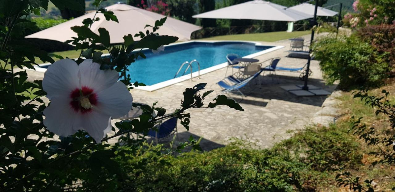 Case In Campagna Con Piscina A Todi Zewnętrze zdjęcie