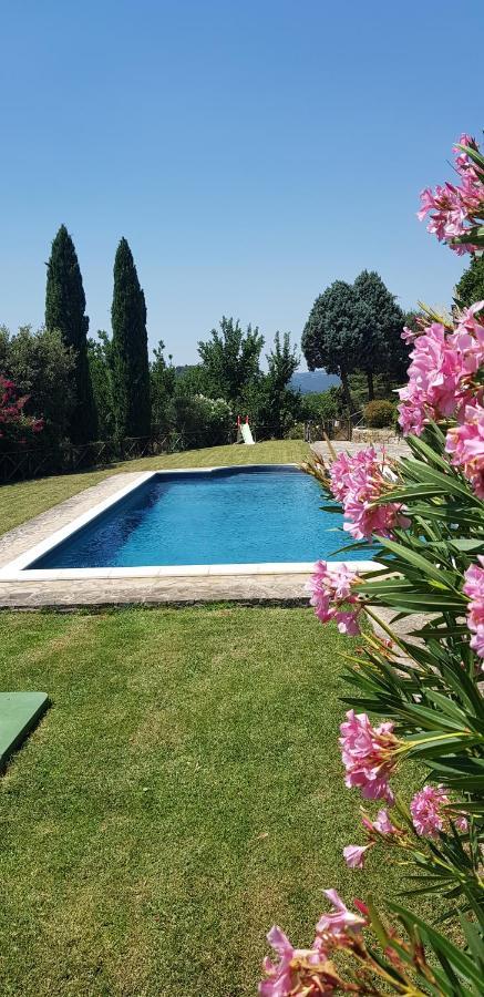 Case In Campagna Con Piscina A Todi Zewnętrze zdjęcie